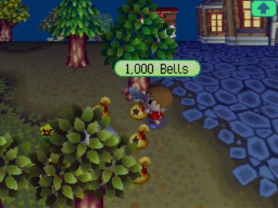 Bags of money that I got from today's money rock.