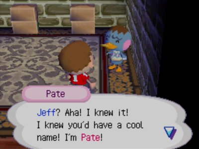 Pate: Jeff? Aha! I knew it! I knew you'd have a cool name! I'm Pate!