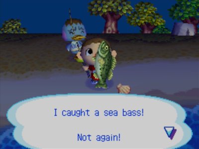 I caught a sea bass! Not again!