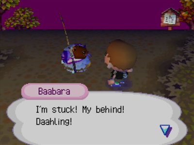 Baabara, in a pitfall: I'm stuck! My behind! Daahling!