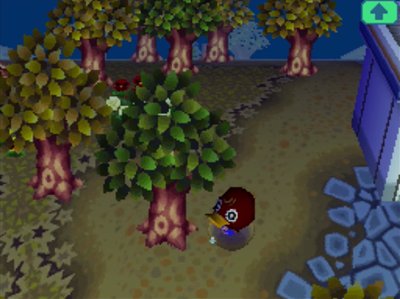 Bill struggling to get out of a pitfall.