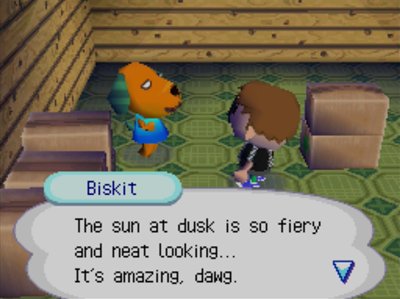 Biskit: The sun at dusk is so fiery and neat tooking... It's amazing, dawg.