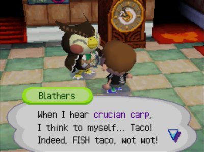 Blathers: When I hear crucian carp, I think to myself... Taco! Indeed, FISH taco, wot wot!