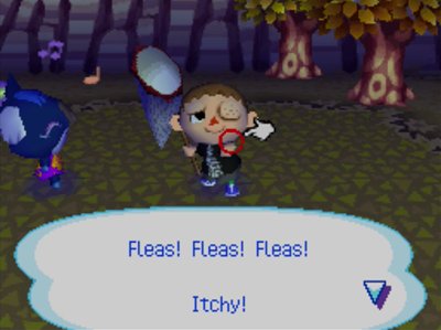 Fleas! Fleas! Fleas! Itchy!