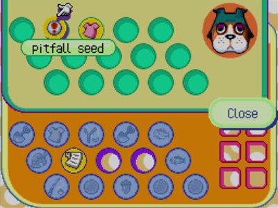 A pitfall seed in the lost and found.