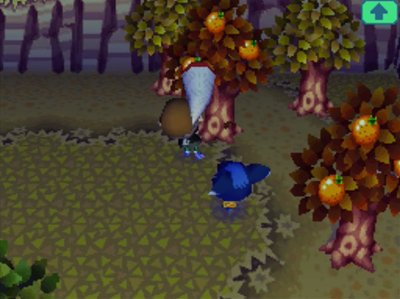 I miss a bug as Yuka interferes.