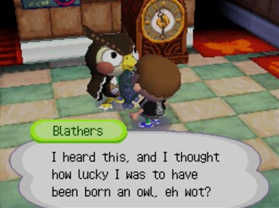 Blathers: I heard this, and I thought how lucky I was to have been born an owl, eh wot?