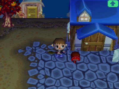 My upgraded house as seen from outside.