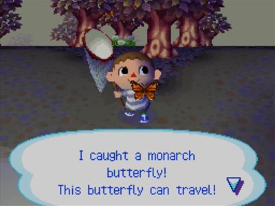 I caught a monarch butterfly! This butterfly can travel!