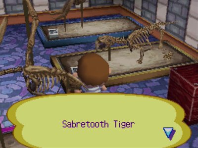 The Sabretooth Tiger fossil at the museum in Animal Crossing: Wild World.