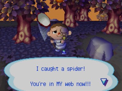 I caught a spider! You're in MY web now!!