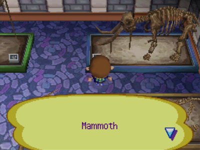 Museum display: Mammoth.
