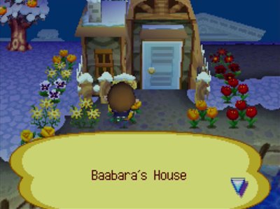 Flowers planted all around Baabara's house.