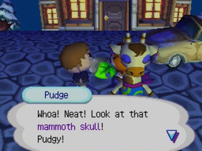 GIF of Gracie's skull.