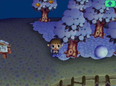 Wishing on a shooting star in Animal Crossing: Wild World.
