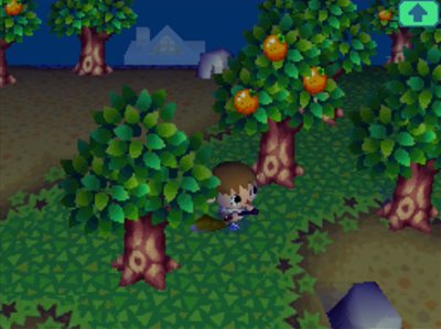 Green grass and trees on the first day of spring.