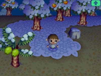 The trees are starting to get greener as spring approaches.