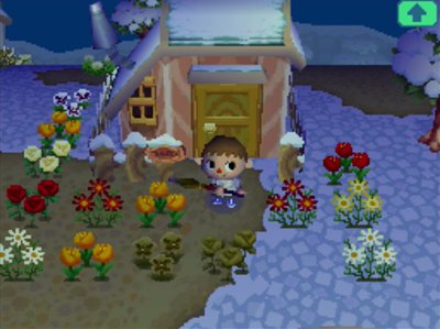 The flower garden in Puddles' front yard.
