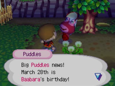 Puddles: Big Puddles news! March 28th is Baabara's birthday!