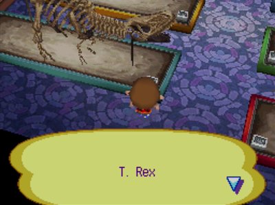 A complete T-rex fossil at the museum in ACWW.