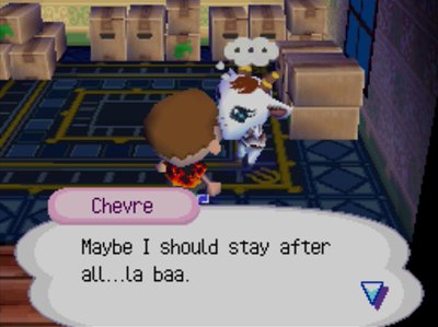 Chevre: Maybe I should stay after all...la baa.