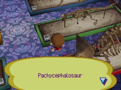The pachycephalosaur fossil in the museum in Animal Crossing: Wild World.
