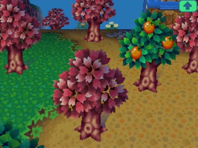 Pink trees in April for cherry blossom season in Animal Crossing: Wild World.