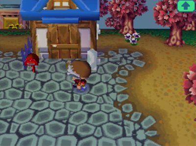 The stone pavement in my yard.