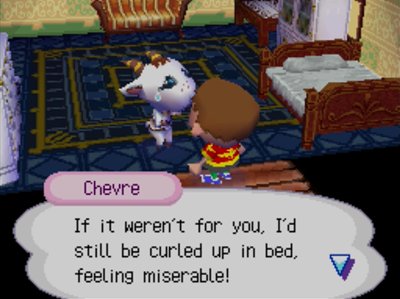Chevre: If it weren't for you, I'd still be curled up in bed, feeling miserable!