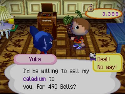 Yuka: I'd be willing to sell my caladium to you. For 490 bells?