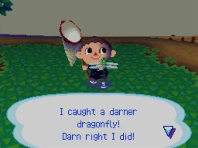 I caught a darner dragonfly! Darn right I did!