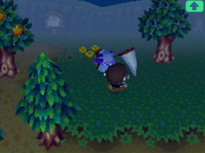 Jeff falls into a pitfall in Animal Crossing: Wild World (ACWW).