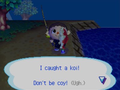 I caught a koi! Don't be coy! (Ugh.)