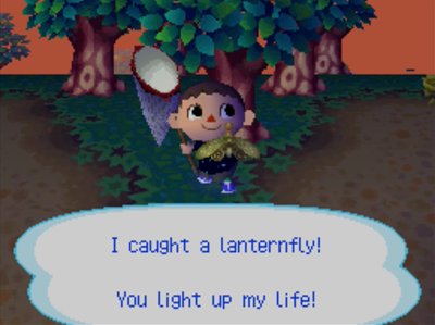 I caught a lanternfly! You light up my life!