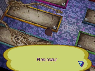 The complete plesiosaur fossil in the museum of Animal Crossing: Wild World for Nintendo DS.