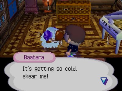Baabara: It's getting so cold, shear me!