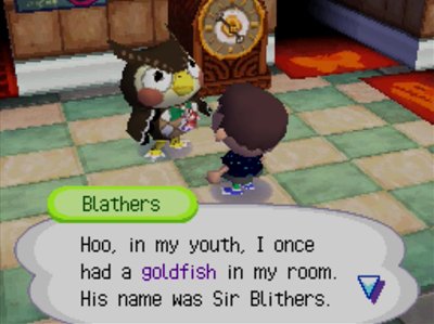 Blathers: Hoo, in my youth, I once had a goldfish in my room. His name was Sir Blithers.