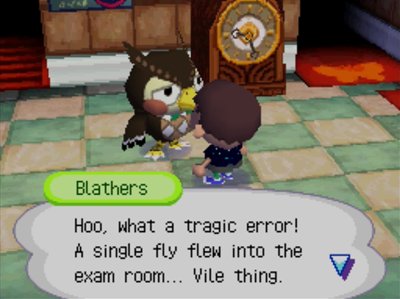 Blathers: Hoo, what a tragic error! A single fly flew into the exam room... Vile thing.