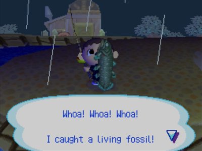 Message after catching a coelacanth: Whoa! Whoa! Whoa! I caught a living fossil!