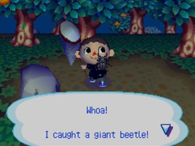 Whoa! I caught a giant beetle!
