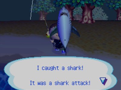 I caught a shark! It was a shark attack!