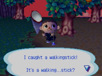 I caught a walkingstick! It's a walking...stick?