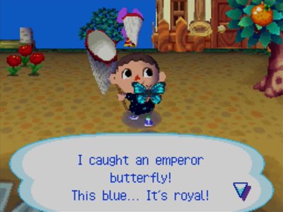 I caught an emperor butterfly! This blue... It's royal!