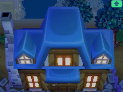 My newly expanded house.