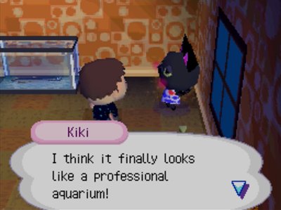 Kiki: I think it finally looks like a professional aquarium!