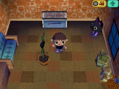 Kiki's furniture includes one eel tank.