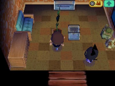 Kiki's house, now with a fish in addition to the eel she's already had.