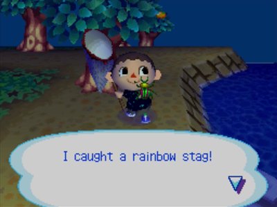 I caught a rainbow stag!