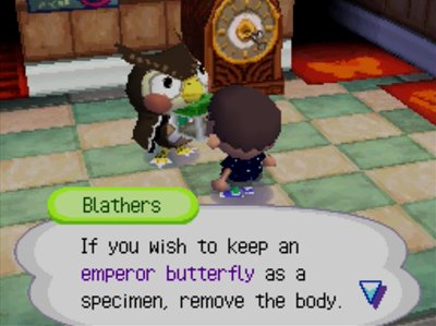 Blathers: If you wish to keep an emperor butterfly as a specimen, remove the body.