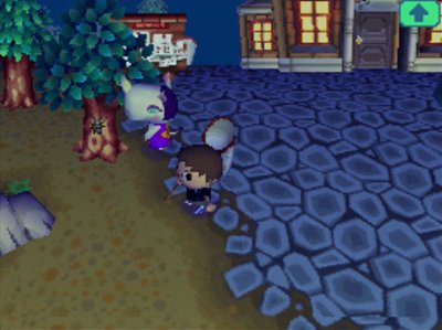 Rhonda about to scare a bug away in Animal Crossing: Wild World (ACWW) for Nintendo DS.